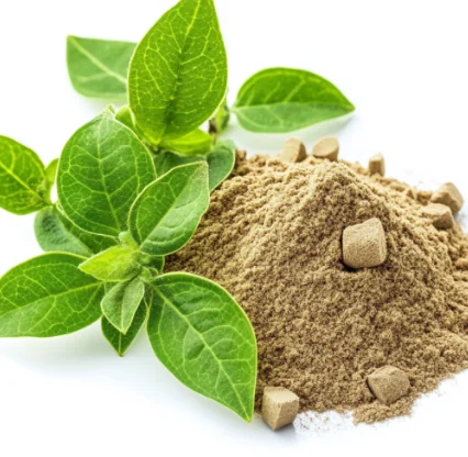 Gymnema leaves and powder, one of the botanicals named on the SugarReset label